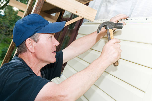 Best Fascia and Soffit Installation  in Lake Lotawana, MO